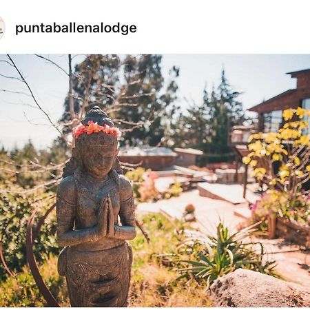 Punta Ballena Lodge Пичилему Экстерьер фото