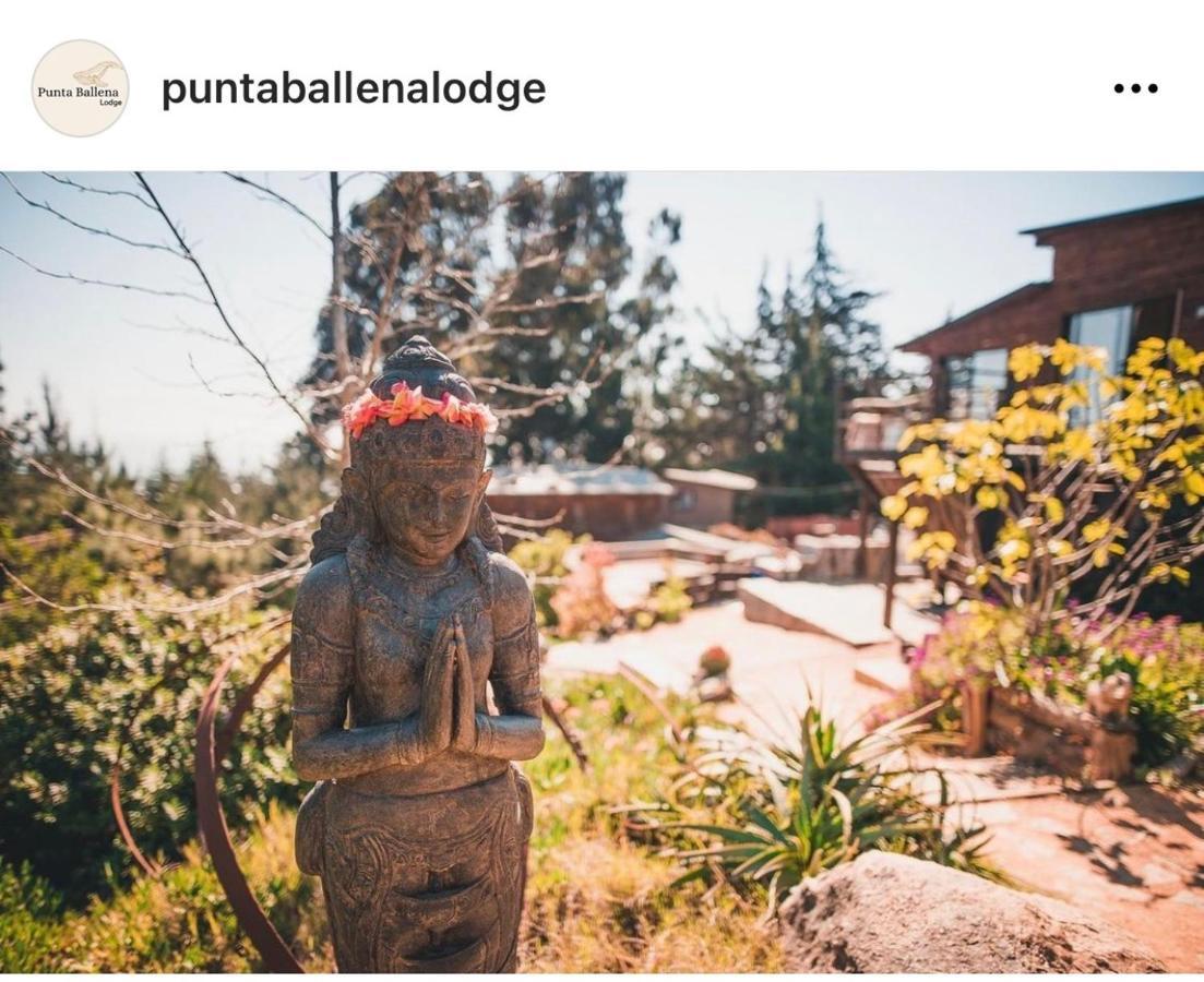 Punta Ballena Lodge Пичилему Экстерьер фото